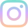 Vector